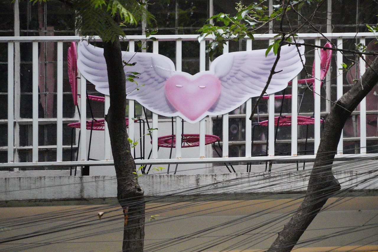 [꾸미기]DSC06090 복사.jpg