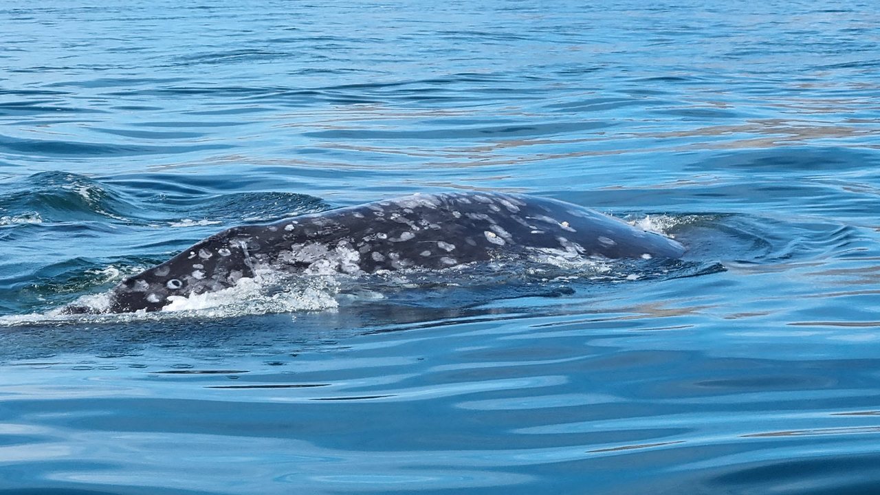 [꾸미기]20240224_102841 복사.jpg