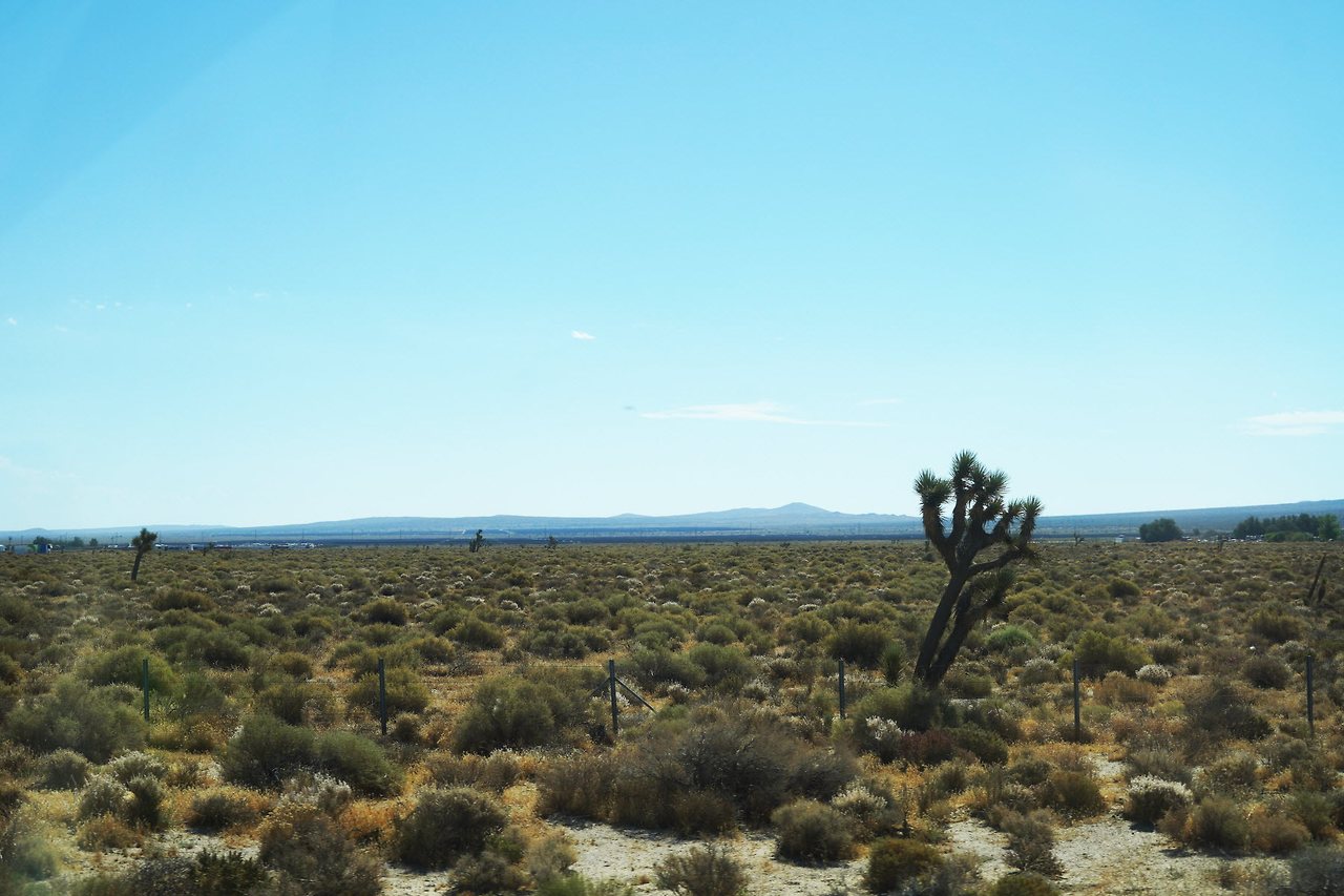 [꾸미기]DSC06429 복사.jpg