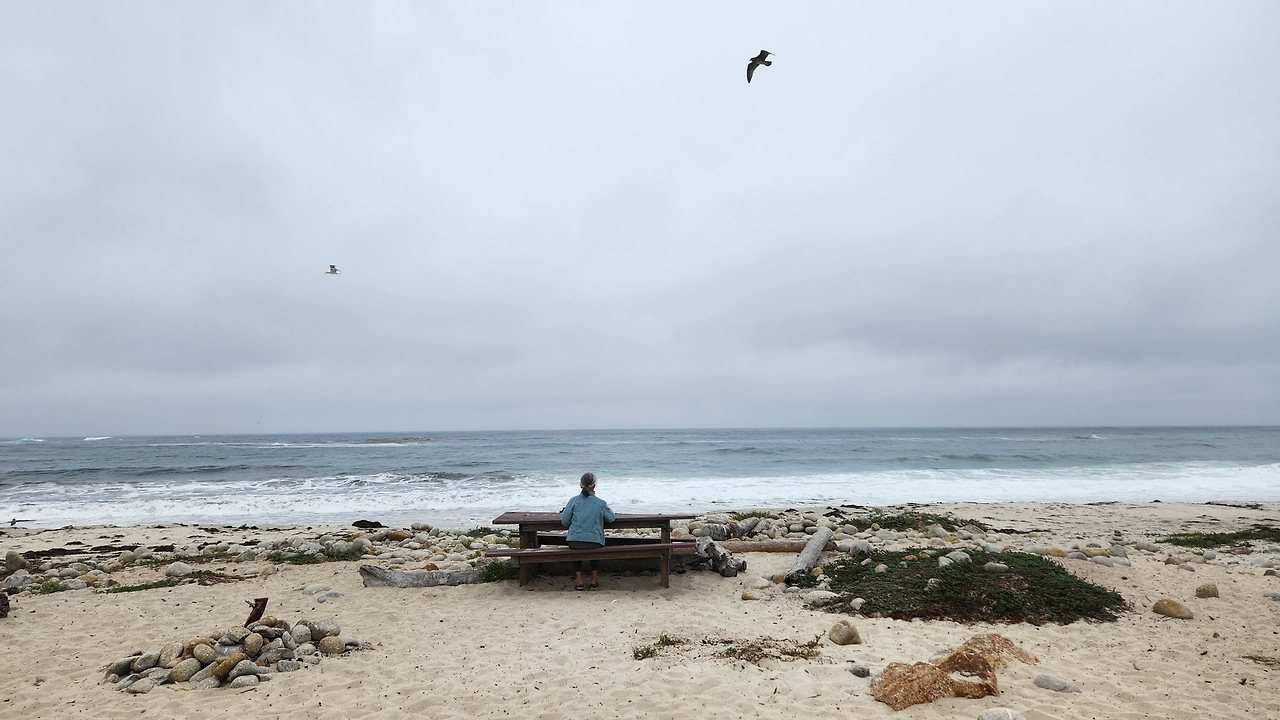 [꾸미기]20230831_110015 복사.jpg