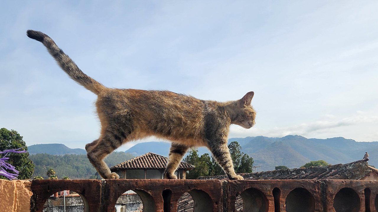 [꾸미기]20250327_080657 복사.jpg