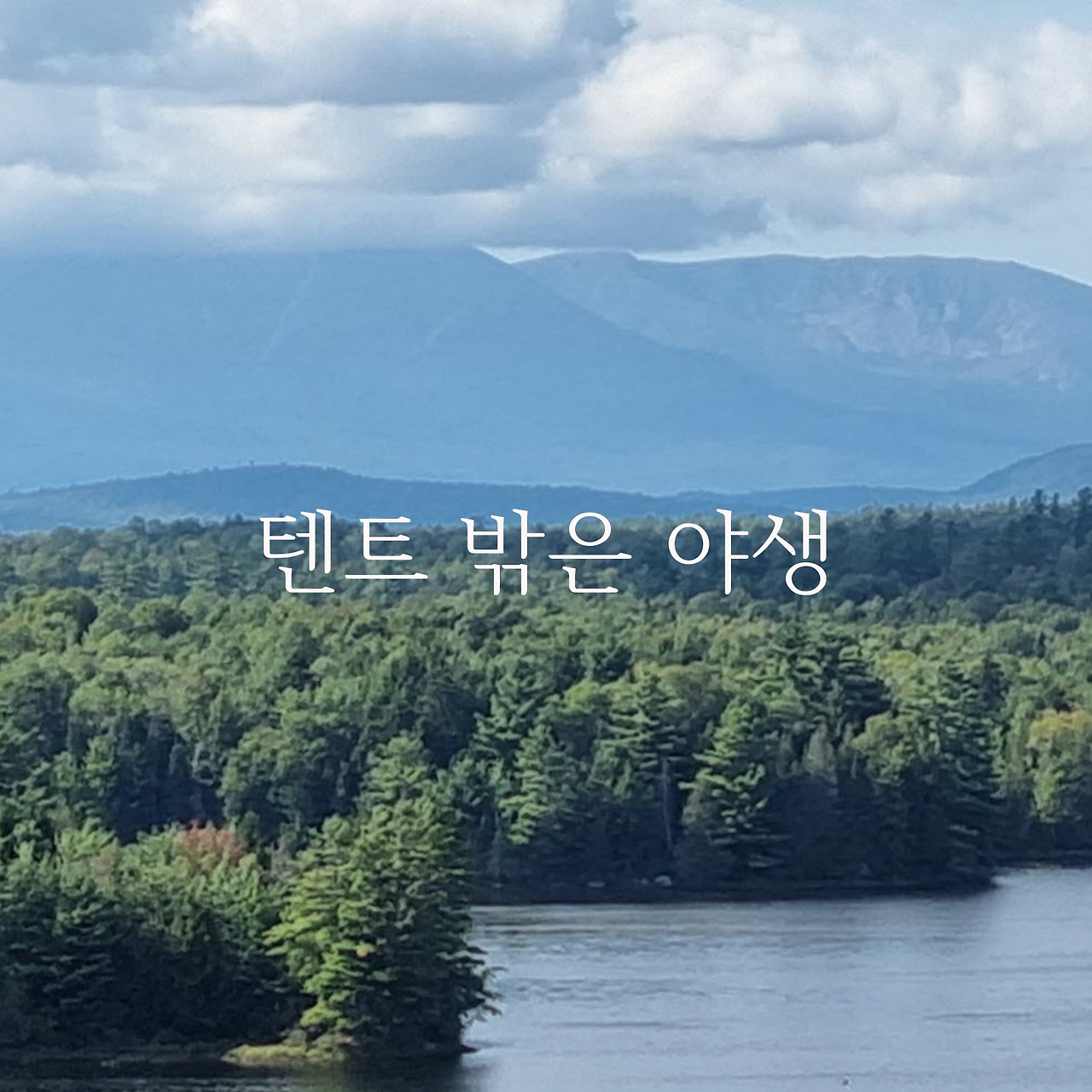 제목 없음-1.jpg
