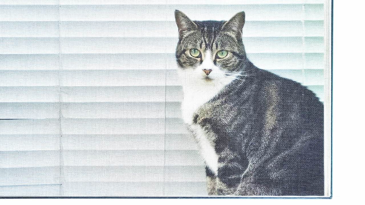 [꾸미기]20250831_102026 복사.jpg