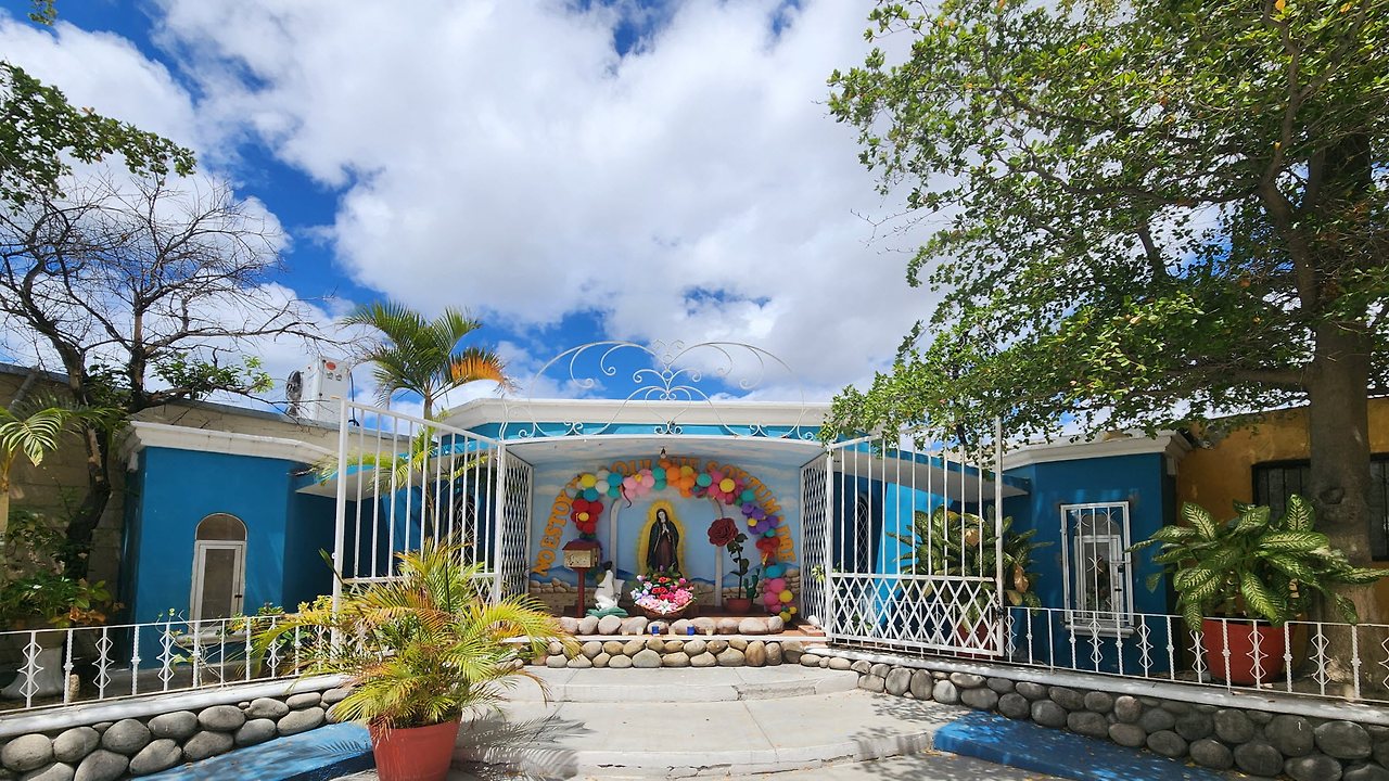 [꾸미기]20240402_124106 복사.jpg