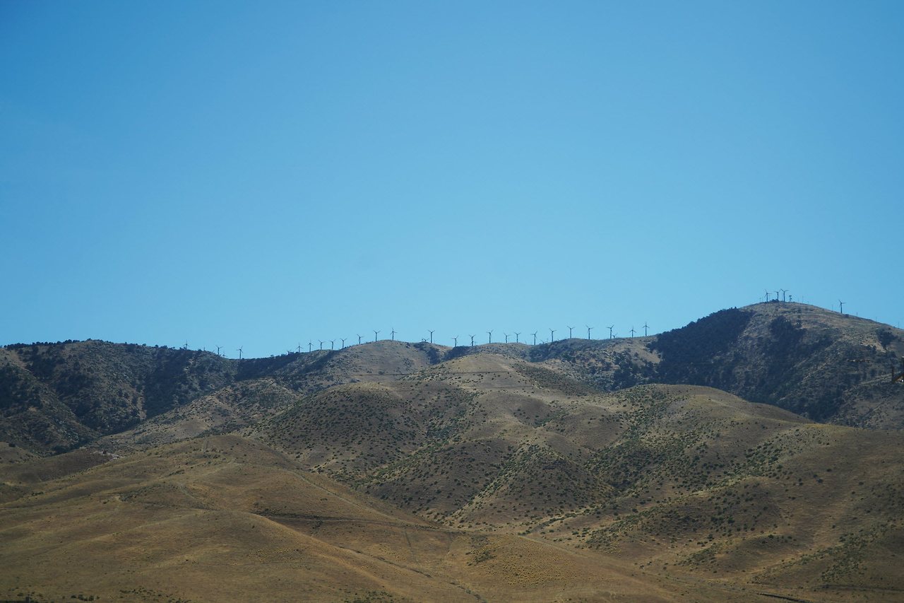 [꾸미기]DSC06663 복사.jpg