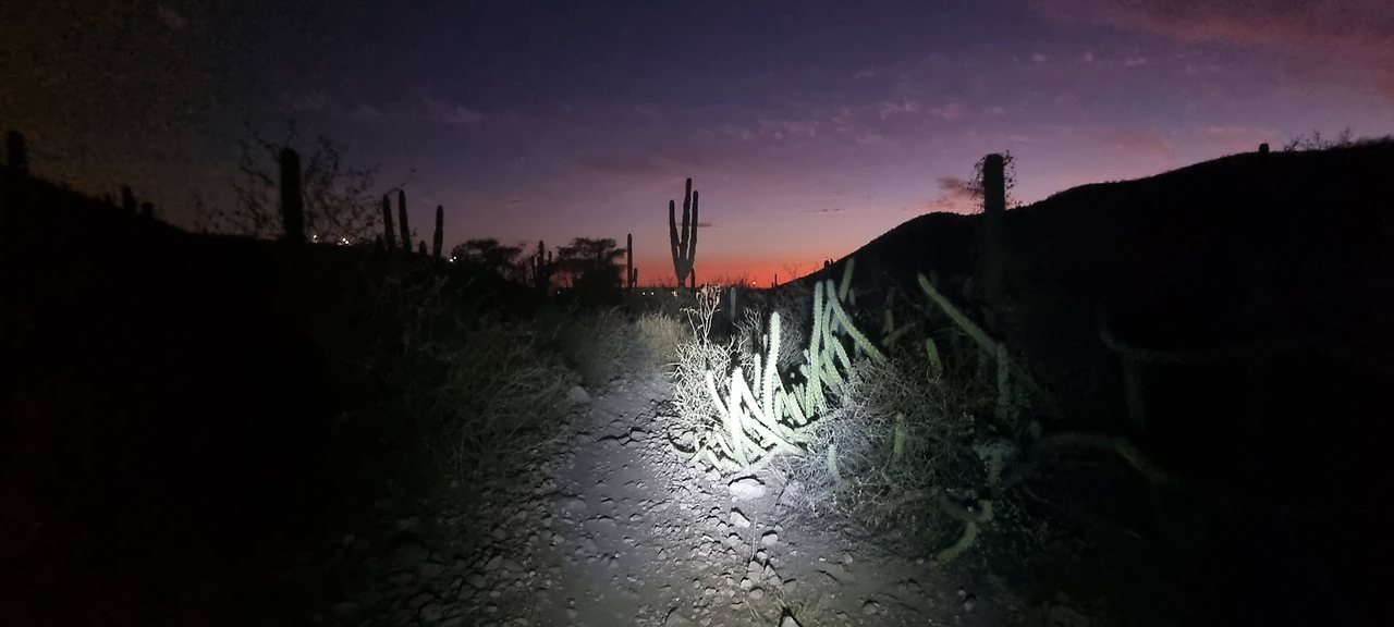 [꾸미기]20240521_193642 복사.jpg