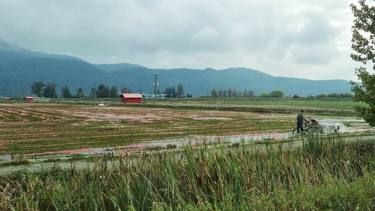 [꾸미기]20251004_113954(0) 복사.jpg