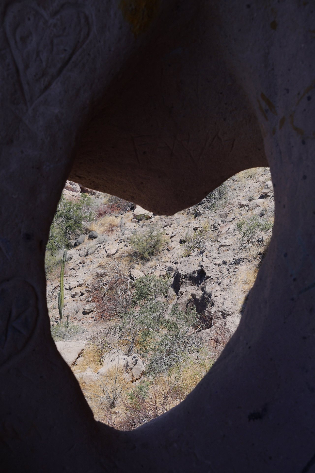 [꾸미기]DSC01460 복사.jpg