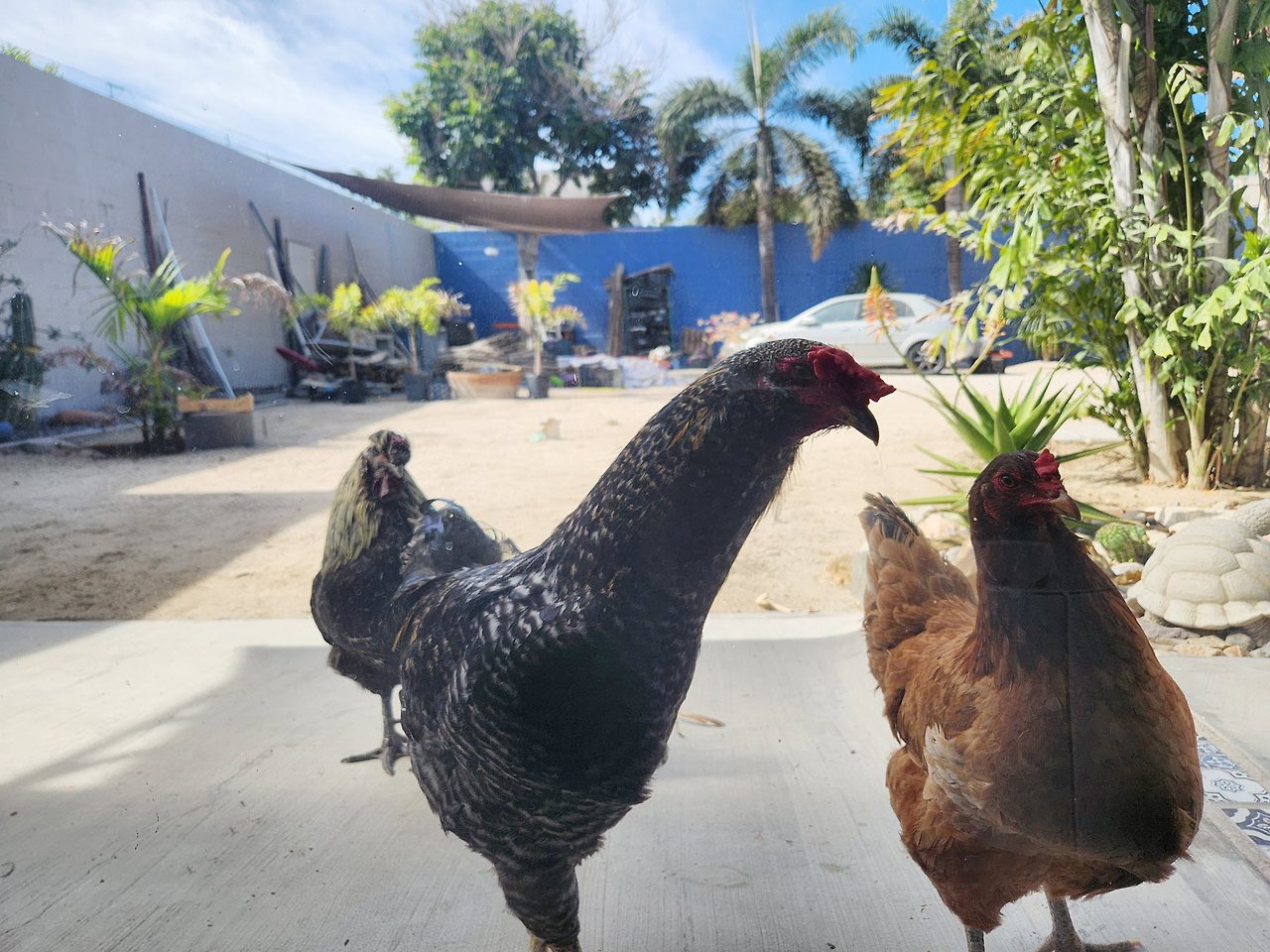 [꾸미기]20240318_100348 복사.jpg