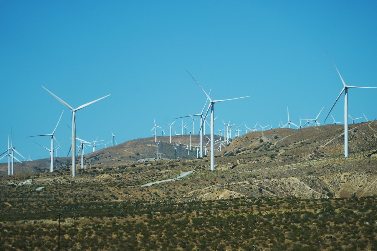 [꾸미기]DSC06592 복사.jpg