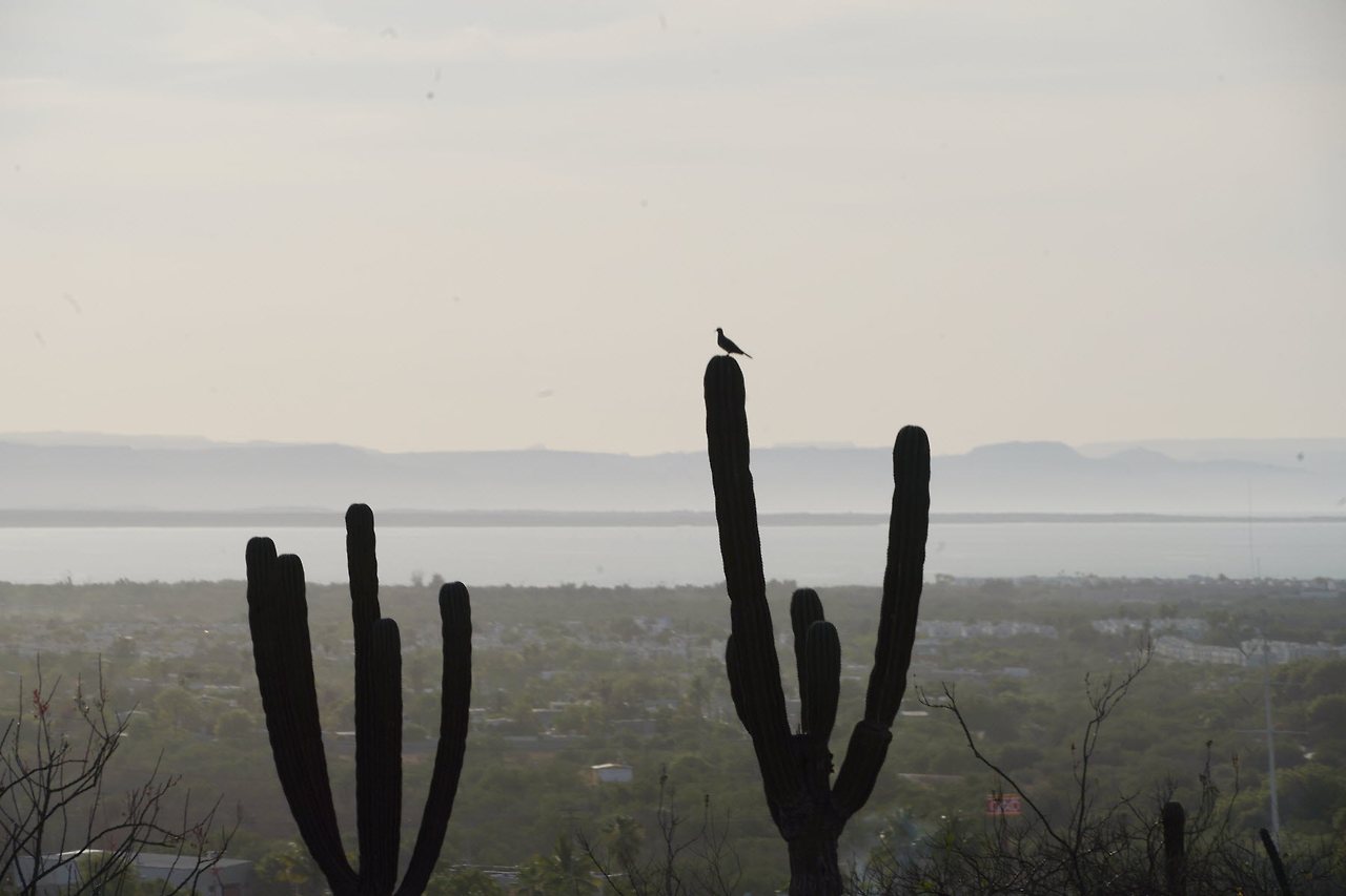 [꾸미기]DSC00434 복사.jpg