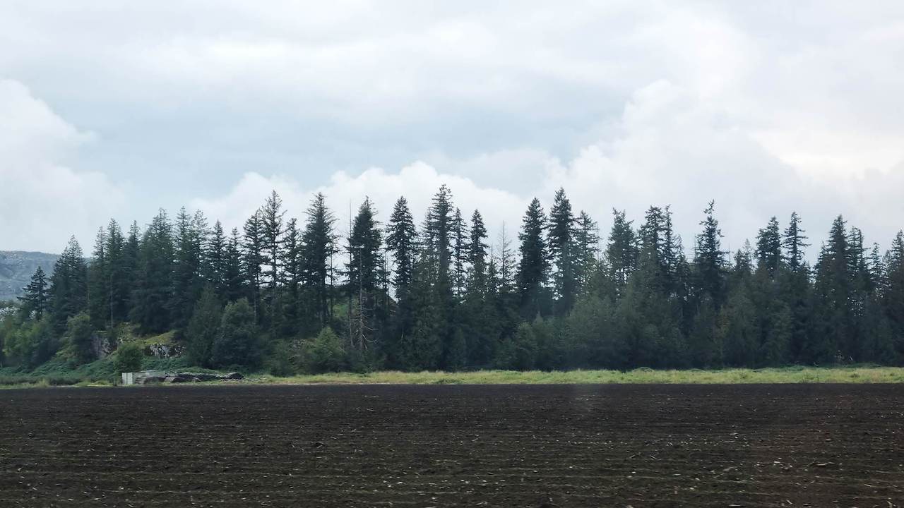 [꾸미기]20251004_122207 복사.jpg