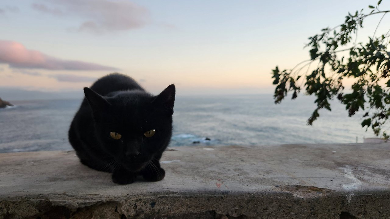 [꾸미기]20231028_175951 복사.jpg