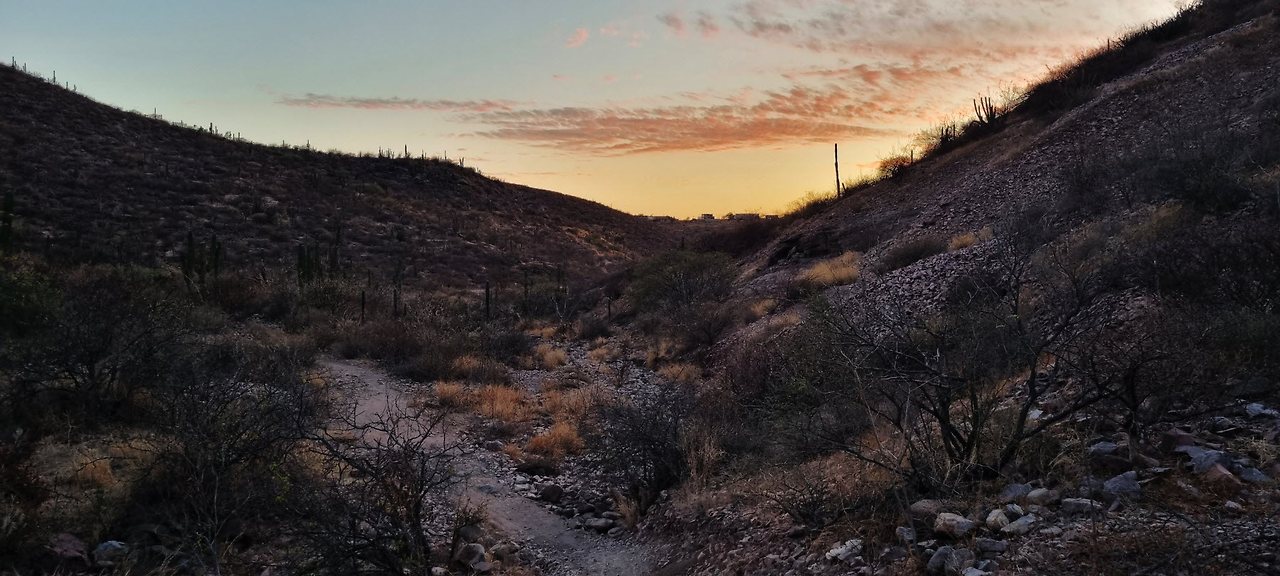 [꾸미기]20240521_191111 복사.jpg