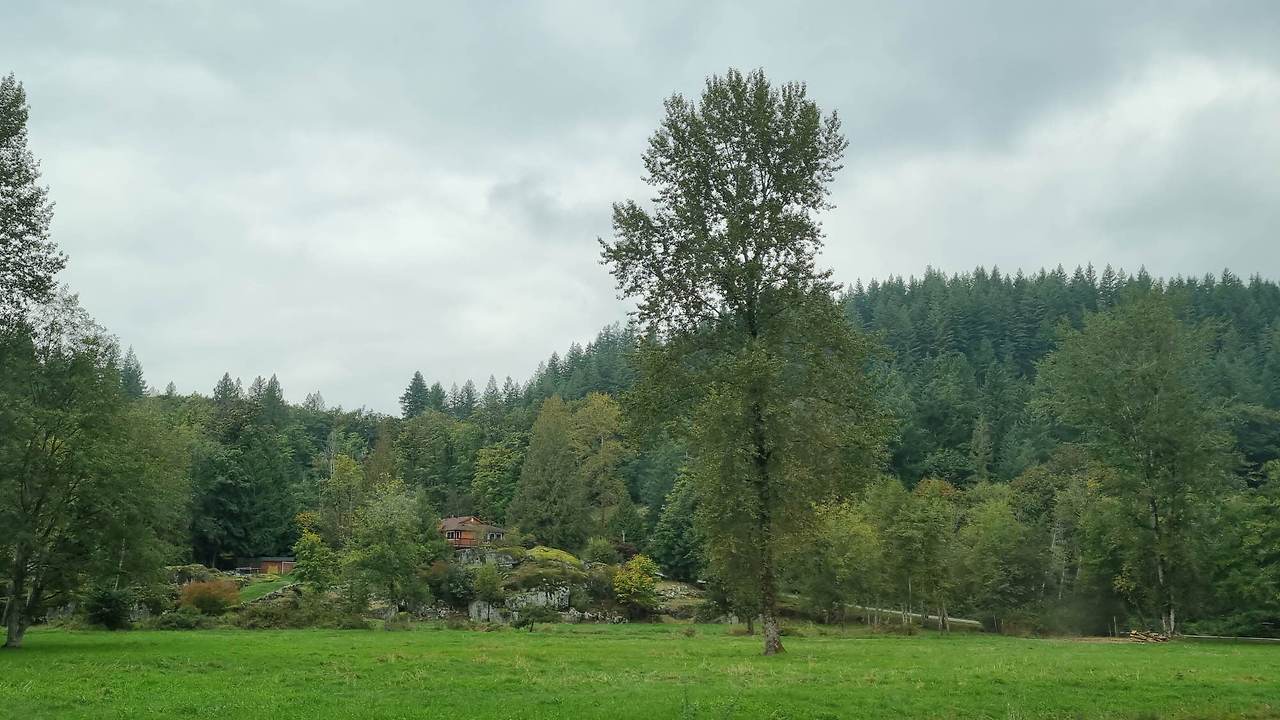 [꾸미기]20251004_122422 복사.jpg