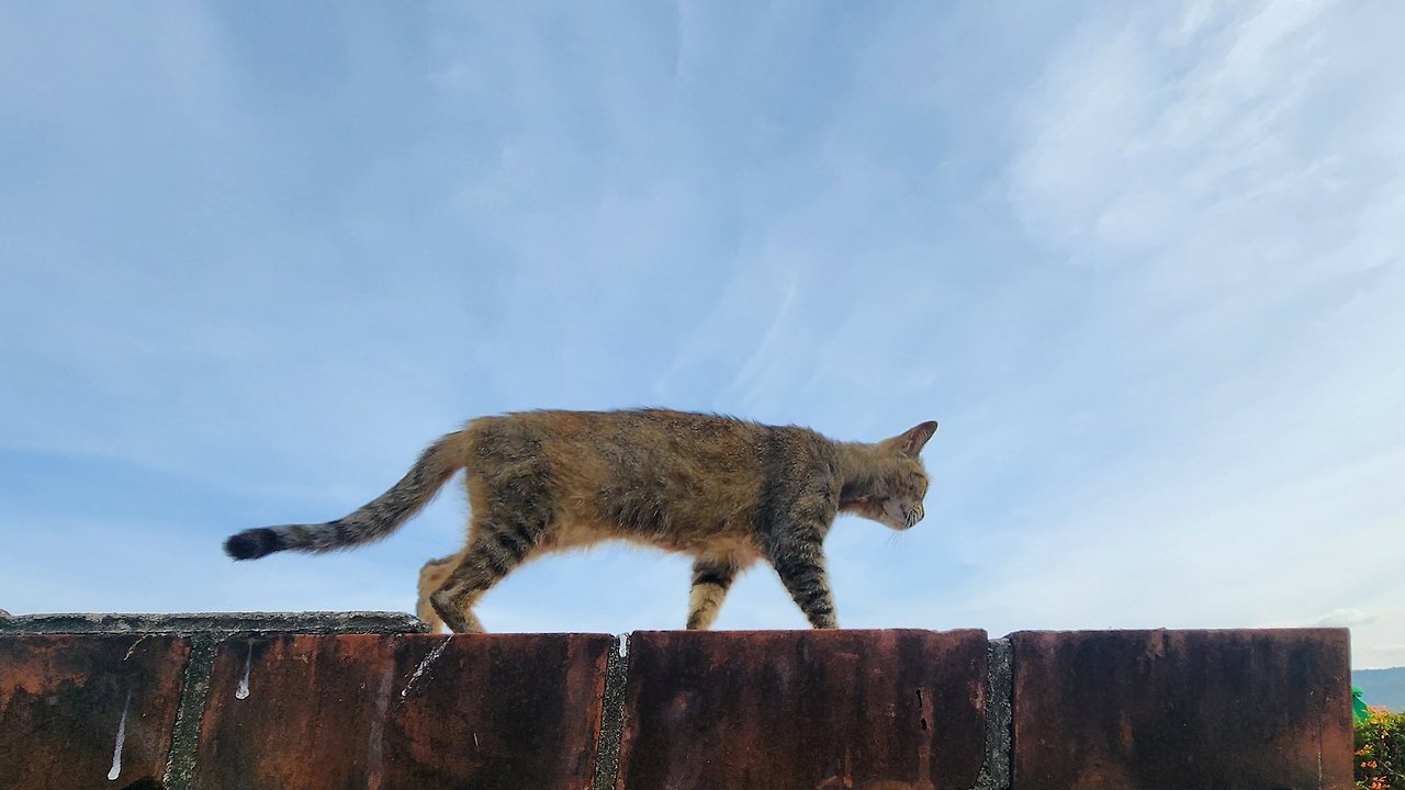 [꾸미기]20250327_080738 복사.jpg