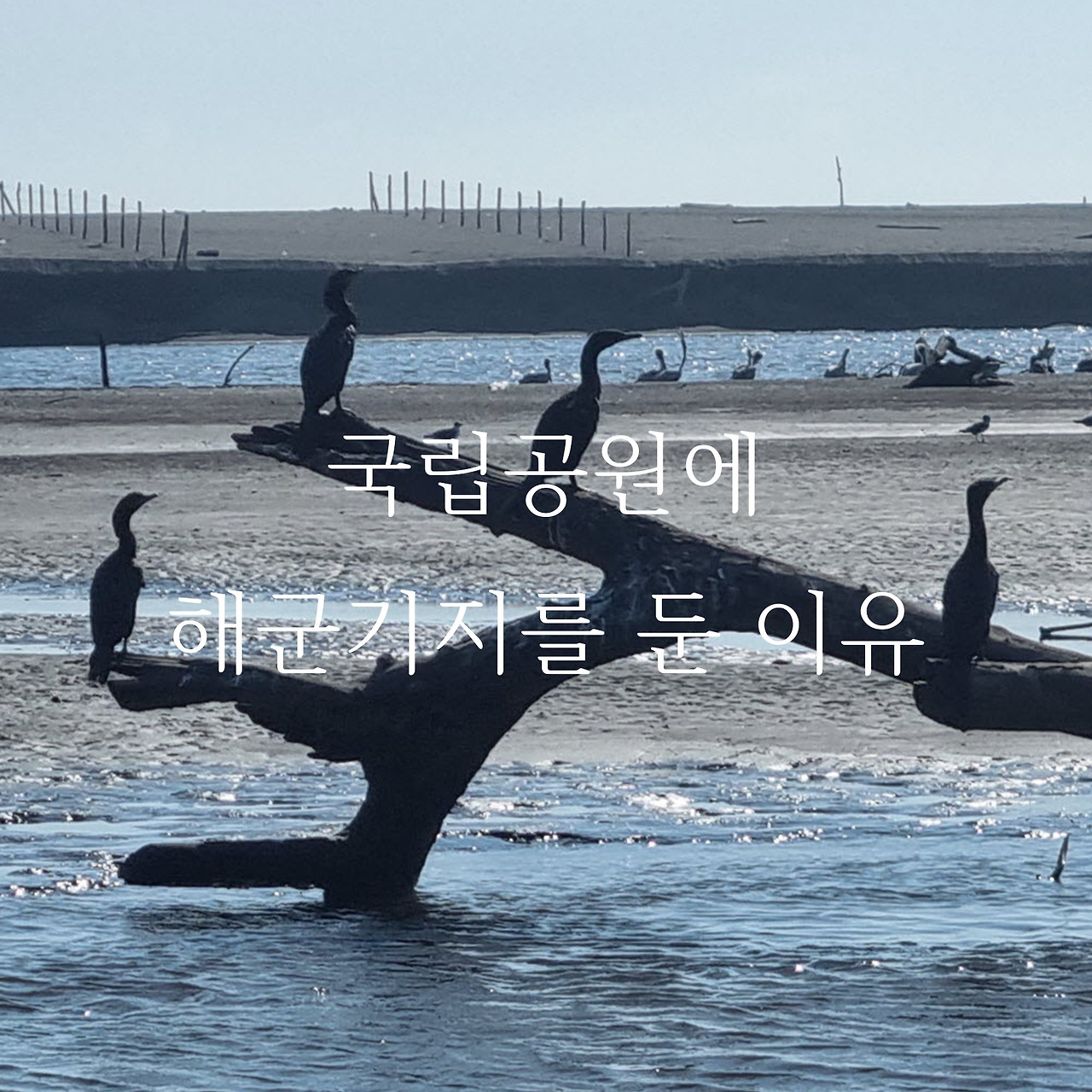 제목 없음-1.jpg