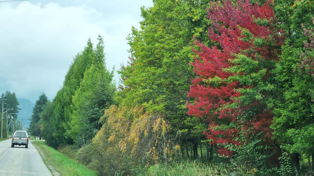 [꾸미기]20251004_113215 복사.jpg