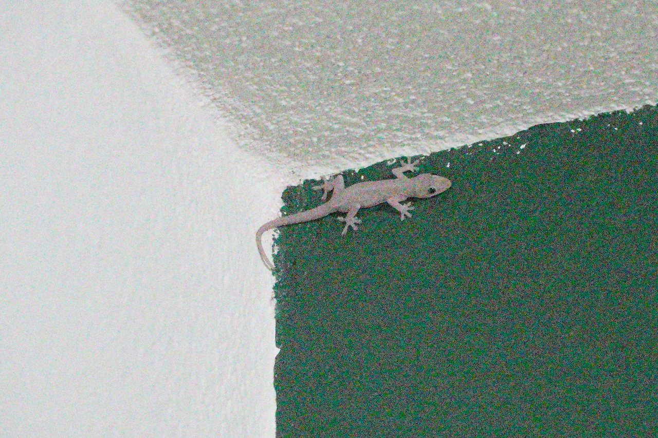 [꾸미기]DSC05598 복사.jpg