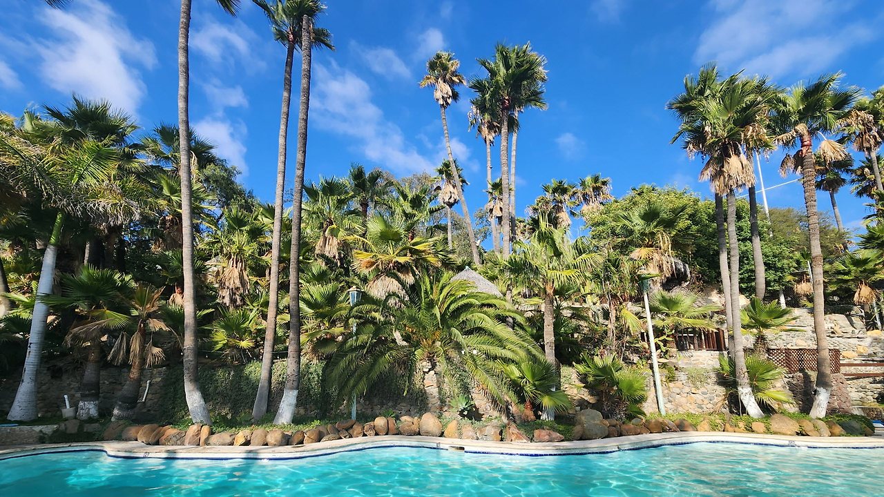 [꾸미기]20231024_154024 복사.jpg