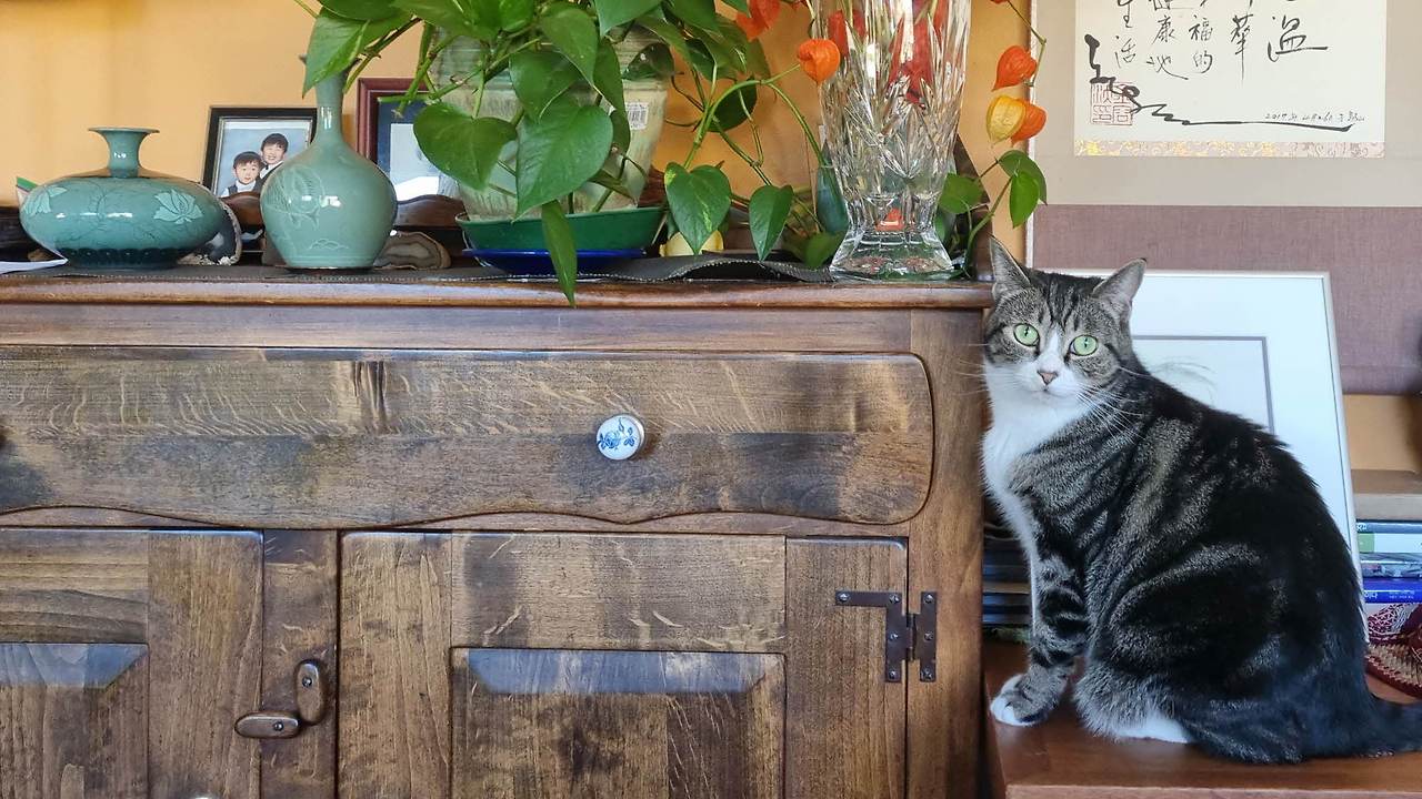 [꾸미기]20251005_114046 복사.jpg