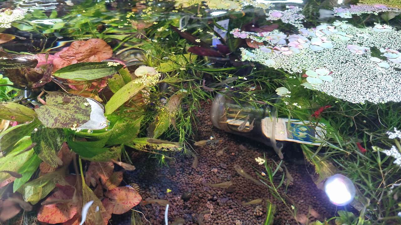 [꾸미기]20251228_152540 - 복사본.jpg