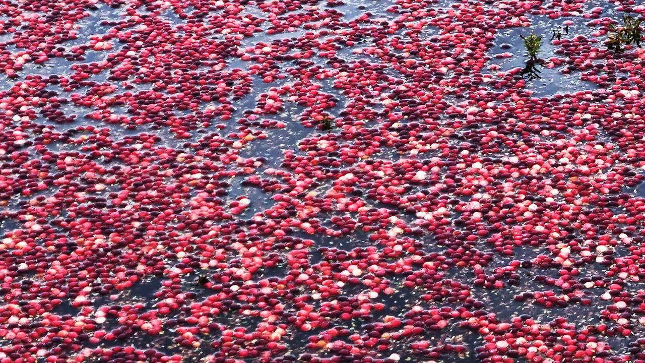 [꾸미기]20251004_114545 복사.jpg