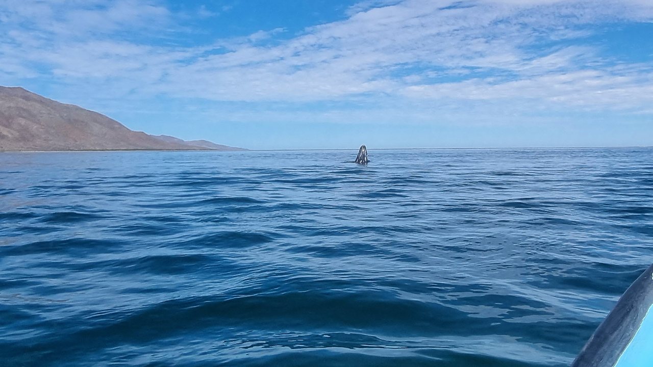 [꾸미기]20240224_104751 복사.jpg