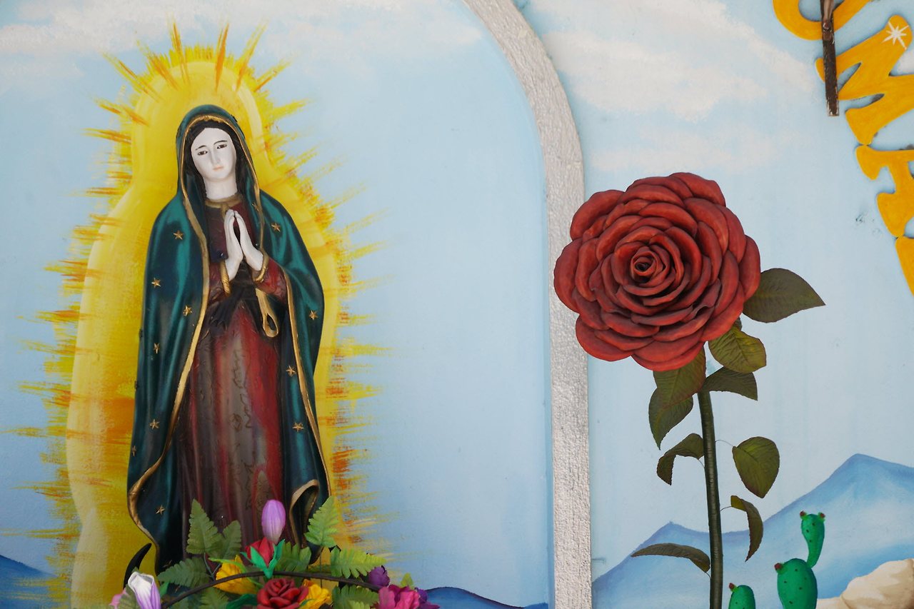 [꾸미기]DSC02976 복사.jpg