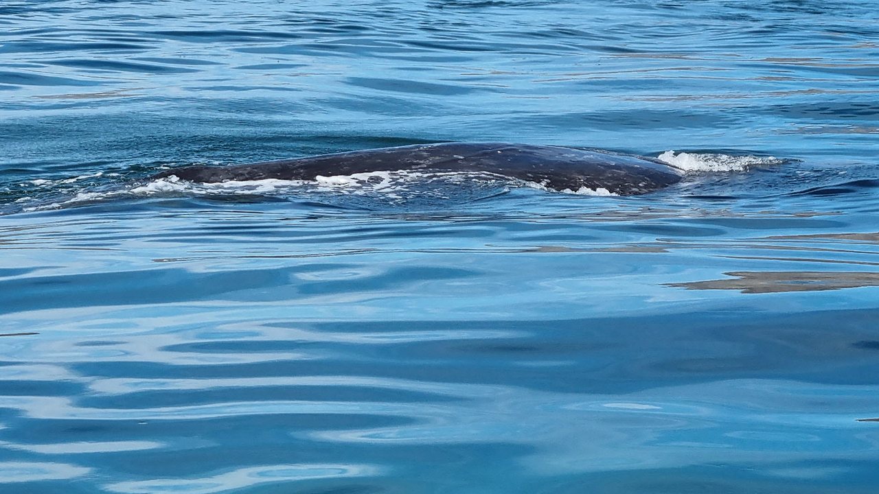 [꾸미기]20240224_102832 복사.jpg