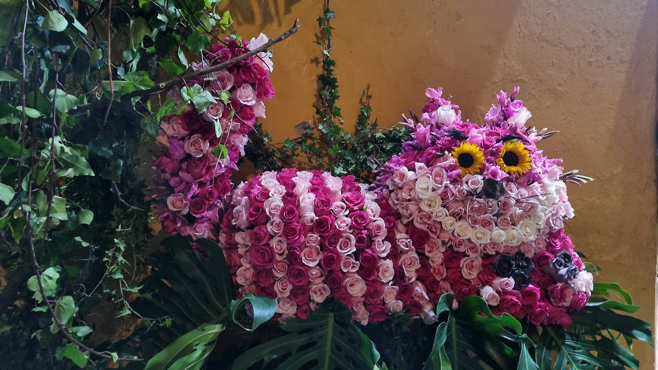 [꾸미기]20241115_230400 - 복사본.jpg