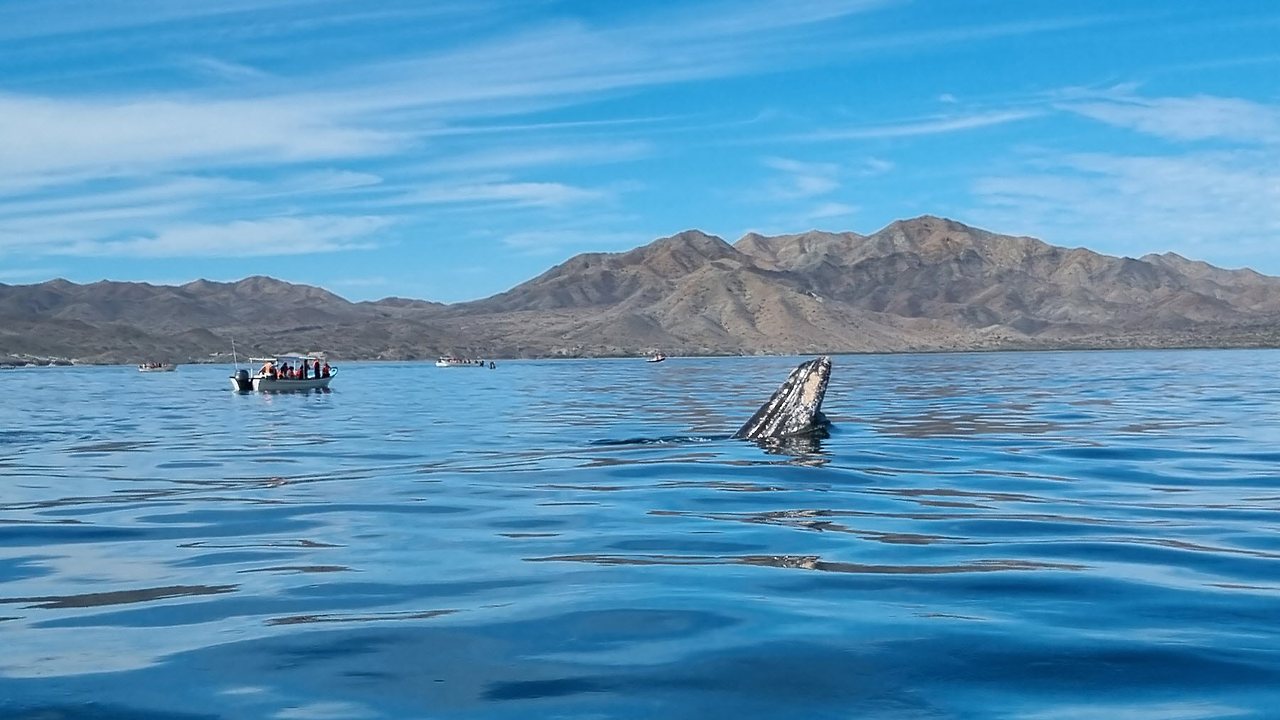 [꾸미기]20240224_102417 복사.jpg