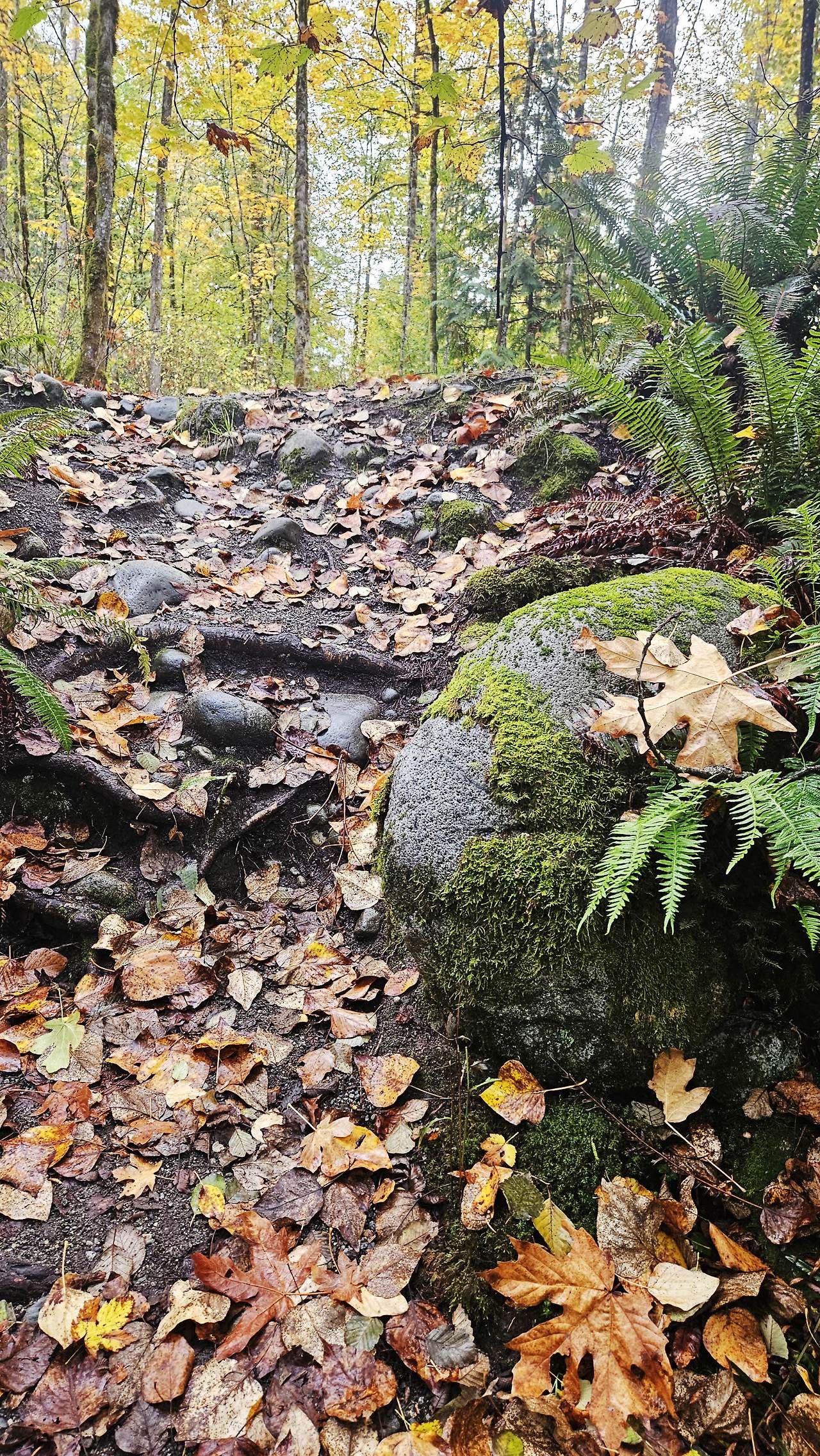 [꾸미기]20251017_103736 복사.jpg