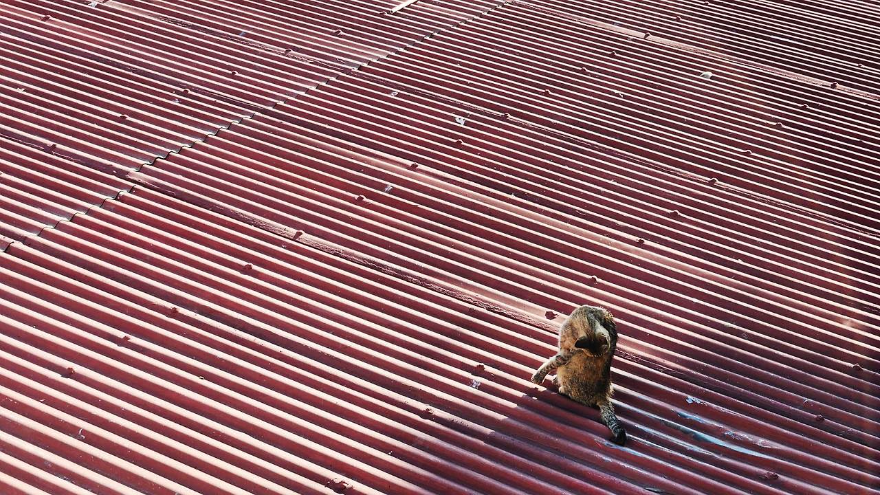 [꾸미기]20250324_075822 복사.jpg