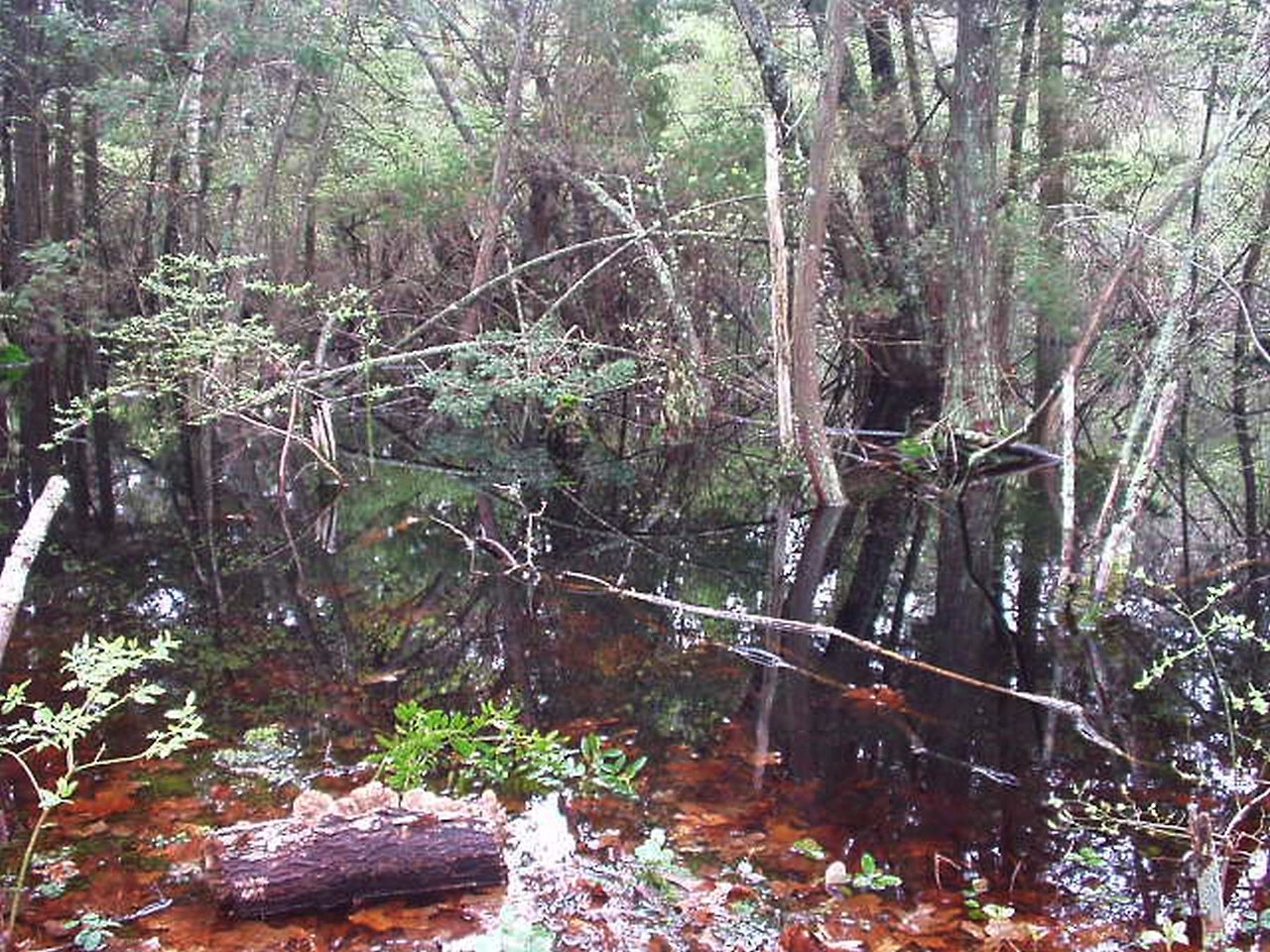 [꾸미기]P1010036 복사.jpg