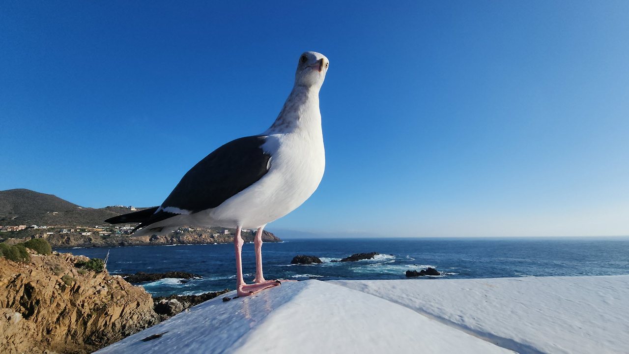 [꾸미기]20231028_161135_002 복사.jpg