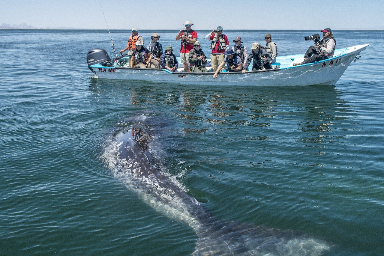 [꾸미기]full-pic2_61 복사.jpg