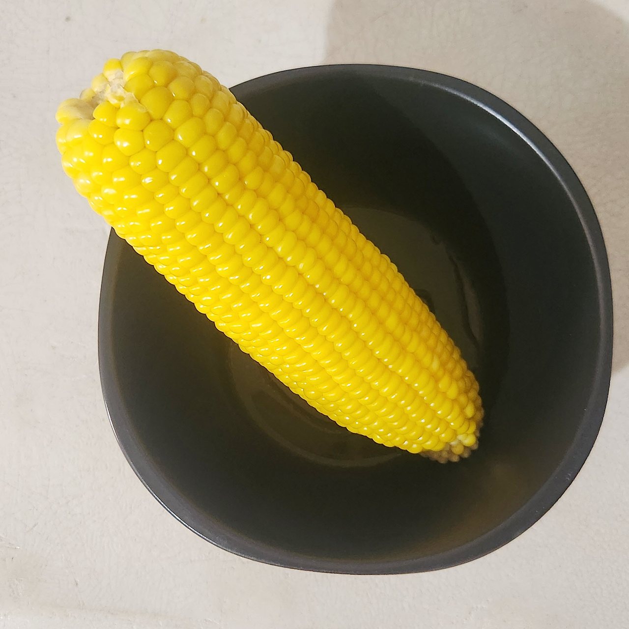 [꾸미기]20240625_164333 복사.jpg