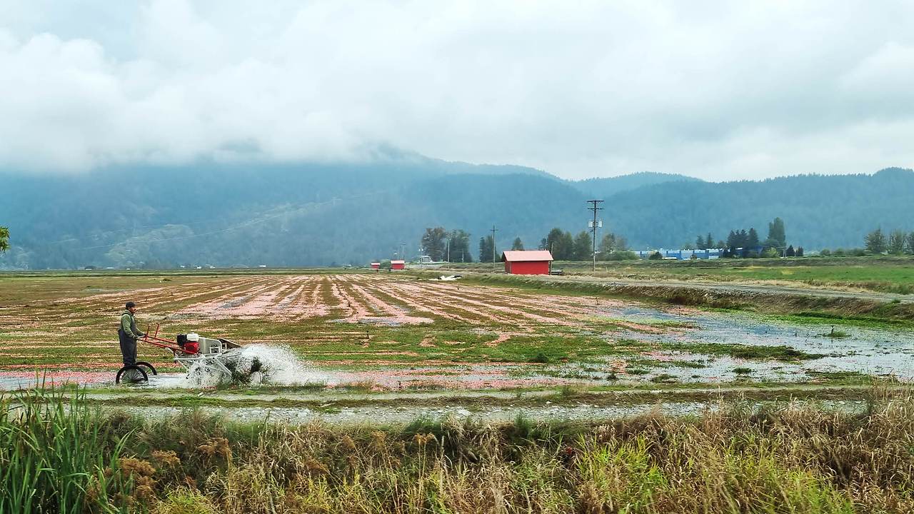 [꾸미기]20251004_113953 복사.jpg