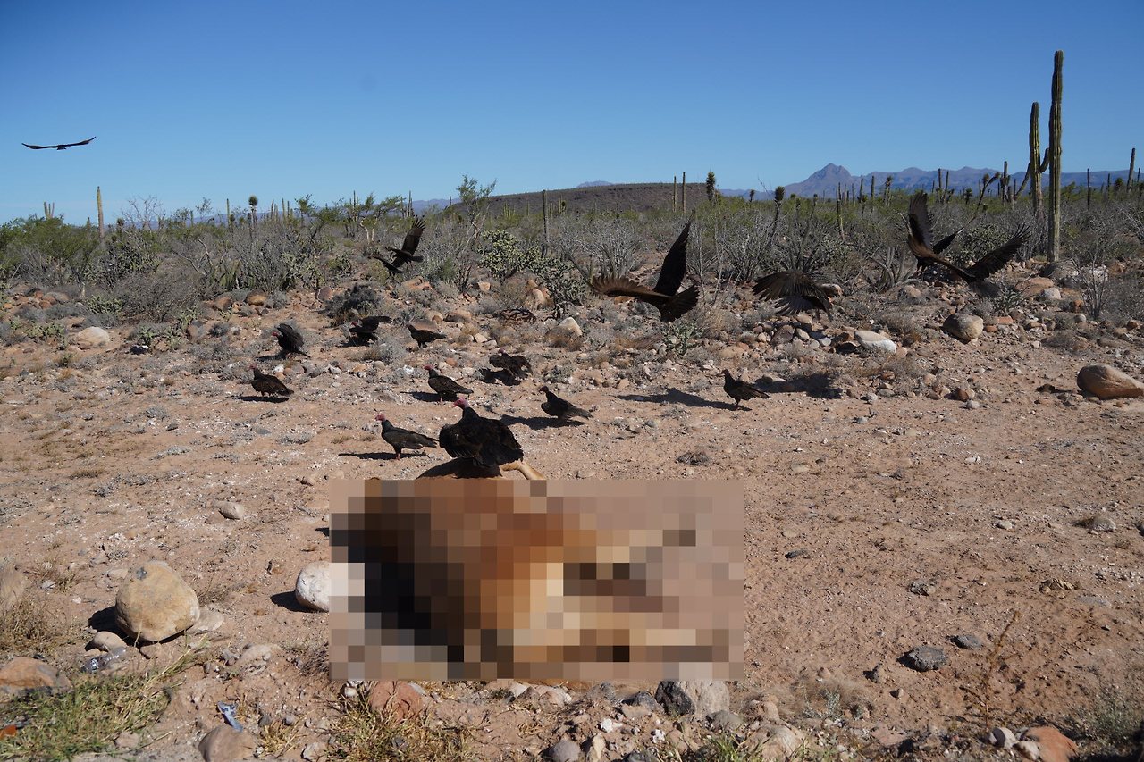 [꾸미기]DSC05341 복사.jpg