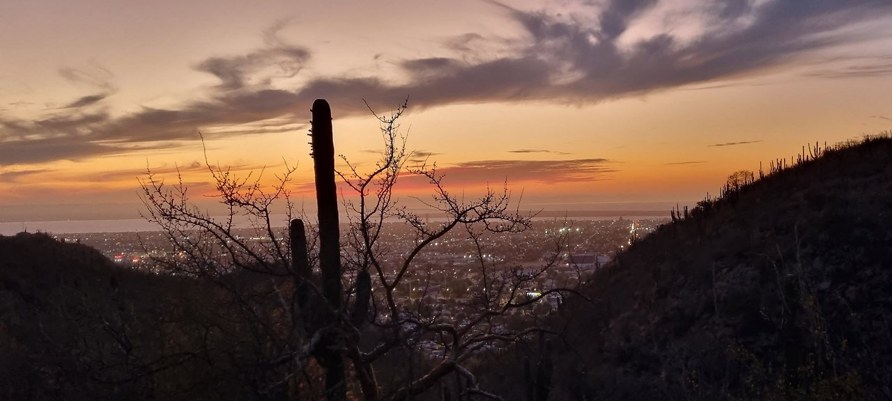 [꾸미기]20240501_190941 복사.jpg