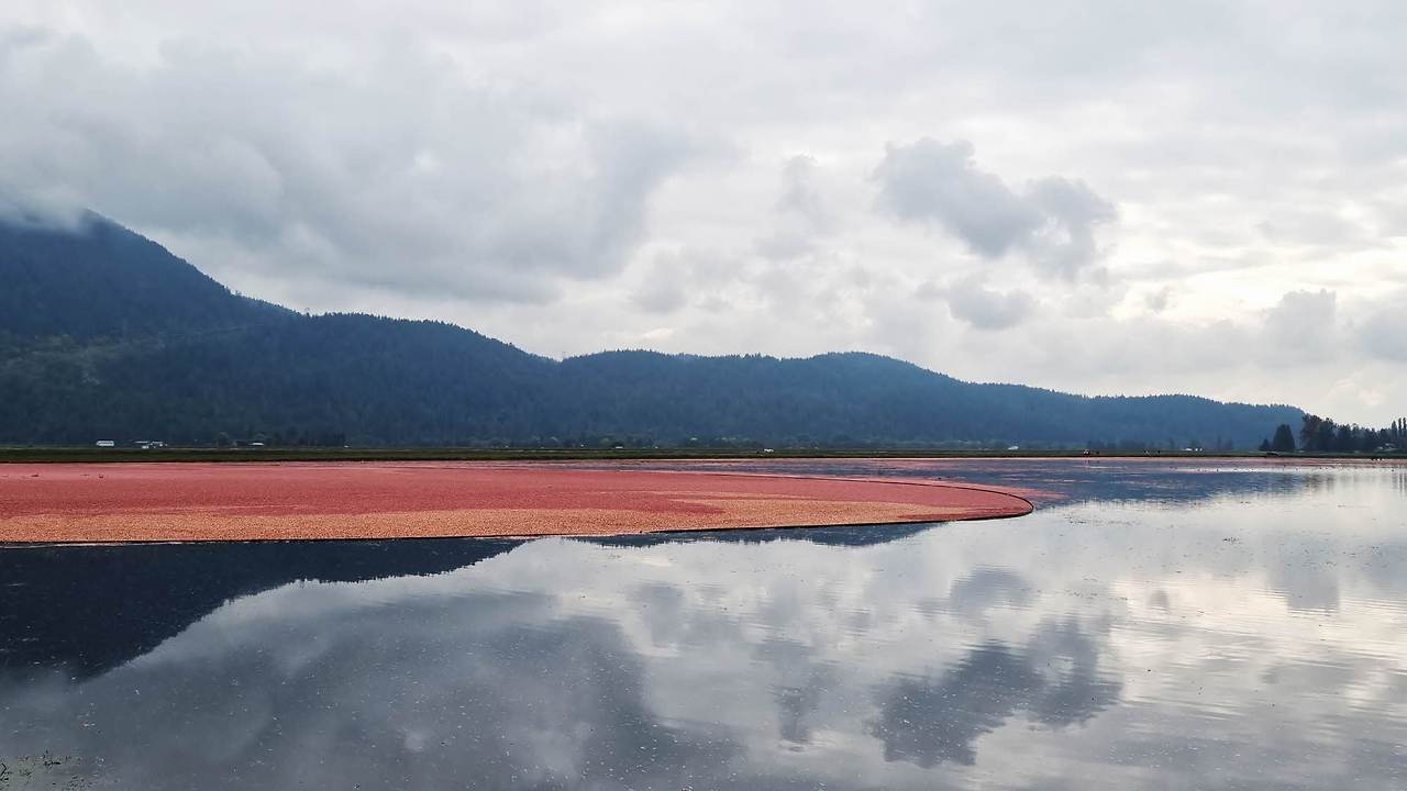 [꾸미기]20251004_121519 복사.jpg