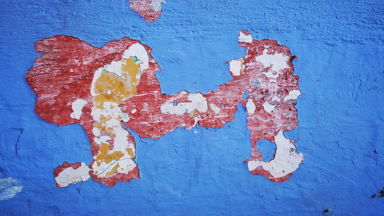 [꾸미기]DSC09075 복사.jpg