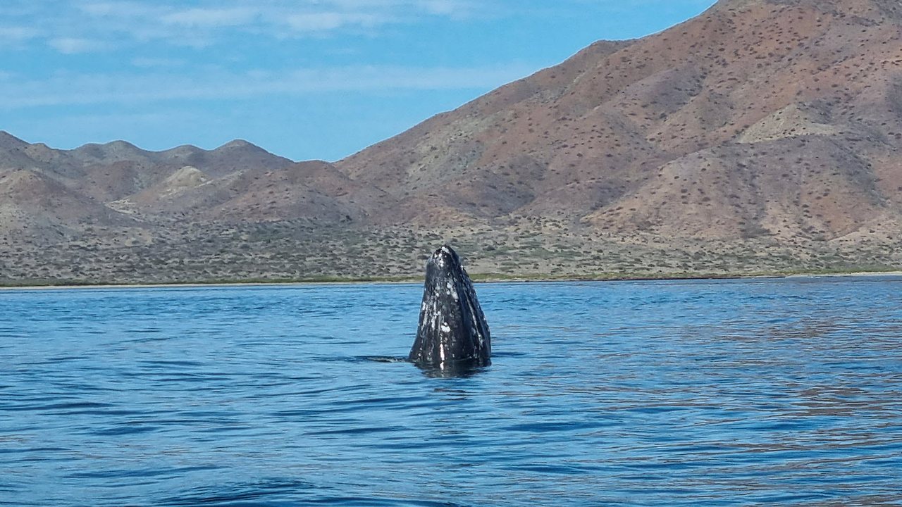 [꾸미기]20240224_103051 복사.jpg