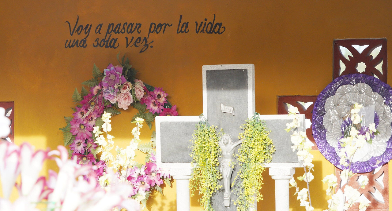 [꾸미기]DSC09749 복사t.jpg