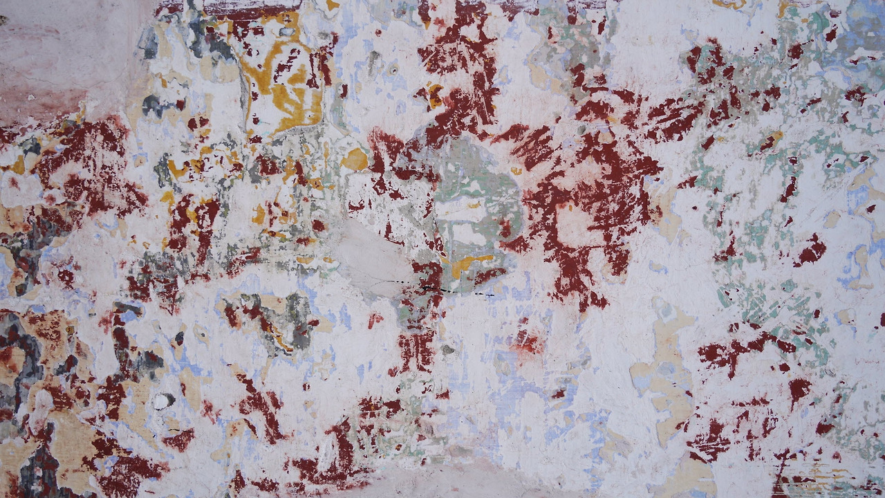 [꾸미기]DSC09074 복사.jpg