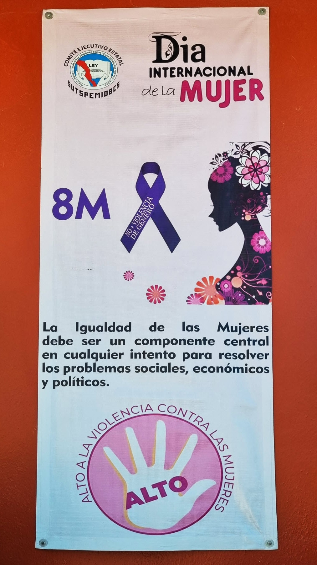 [꾸미기]20240409_132603 복사.jpg