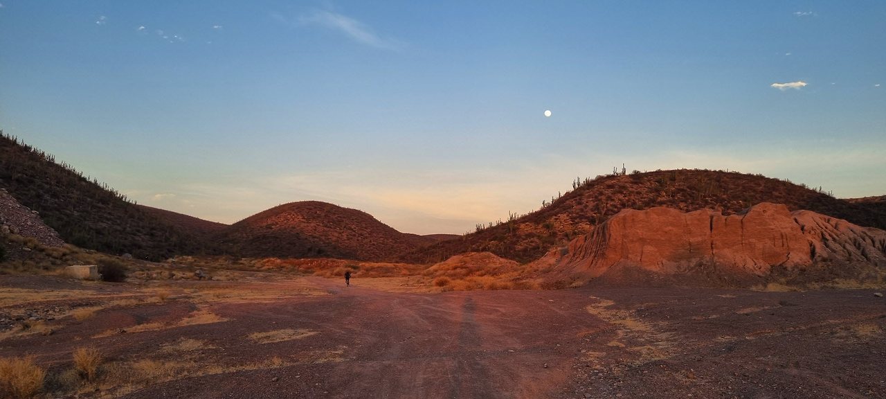 [꾸미기]20240521_185401 복사.jpg