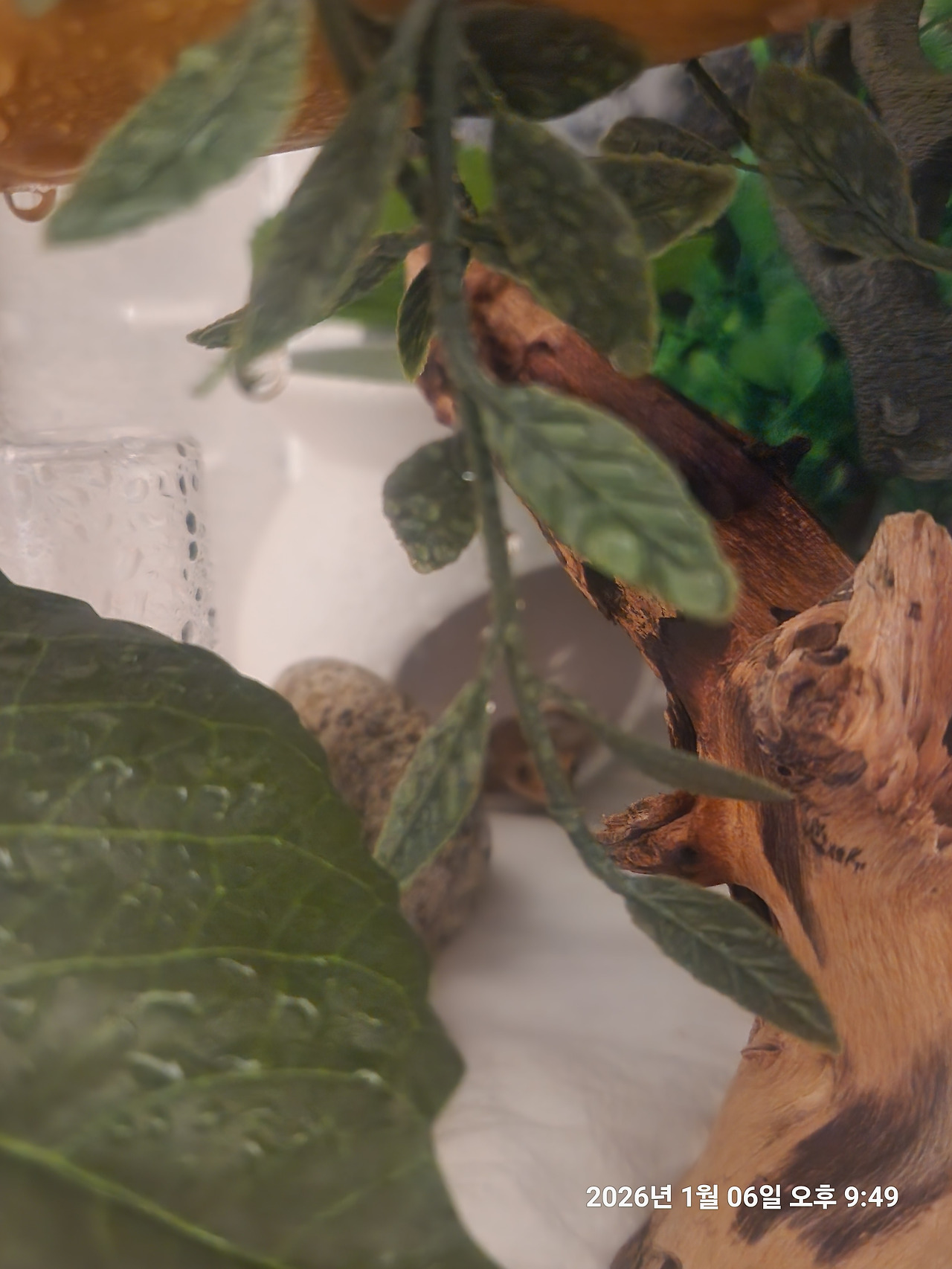 KakaoTalk_20260107_151149964.jpg