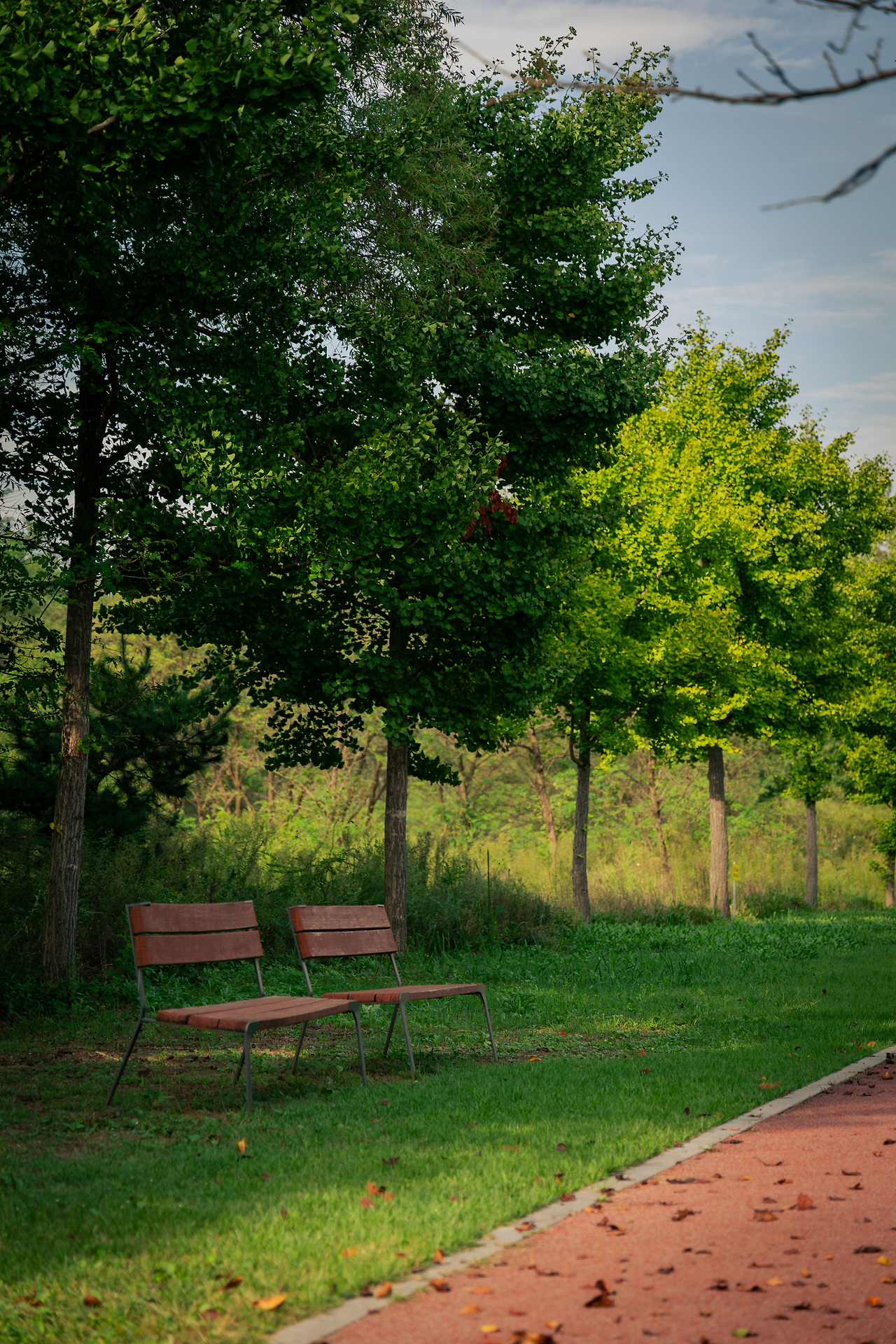 메인1_고적하지만 찬란한_민희.jpg